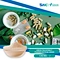 Green tea extract is derived from the leaves of the Camellia sinensis plant. It contains a high concentration of polyphenols and catechins, which are antioxidants that provide numerous health benefits.
